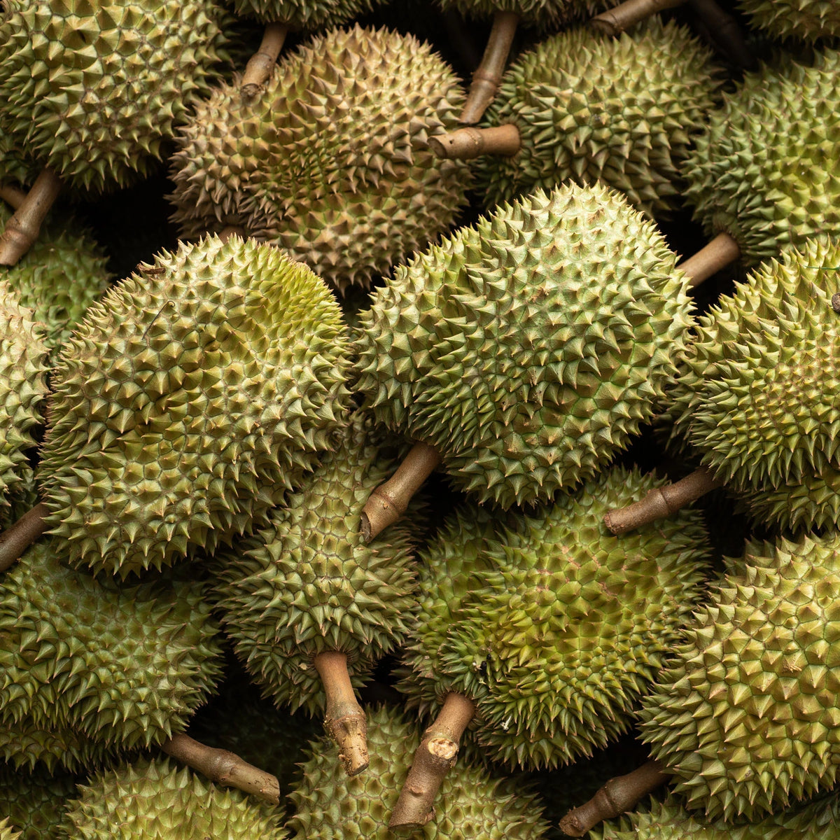 Naive Durian 61%
