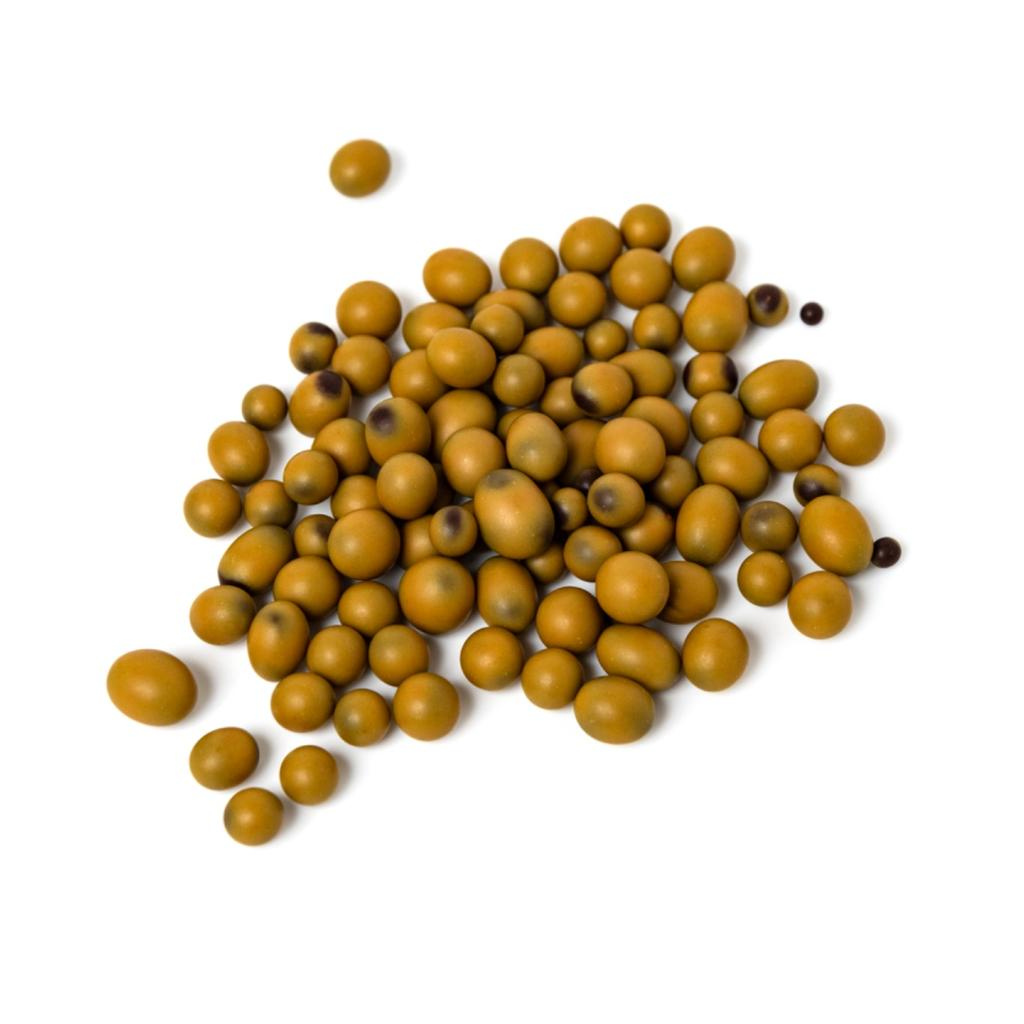 Naive Bee Pollen Covered in Chocolate